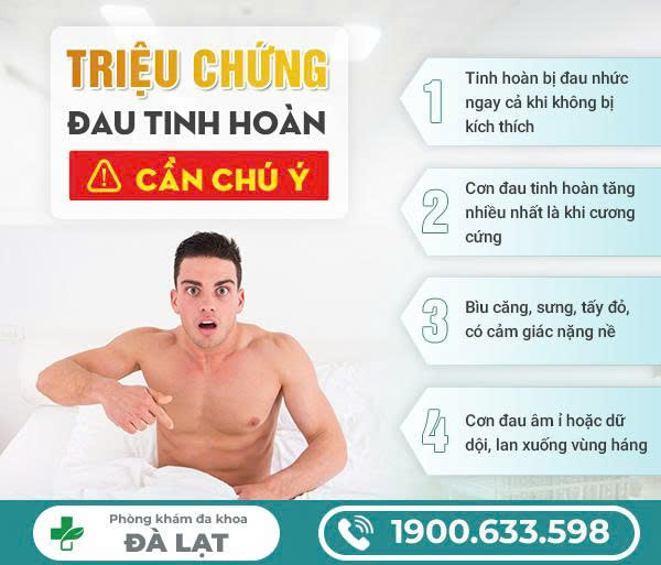 Hình ảnh minh họa